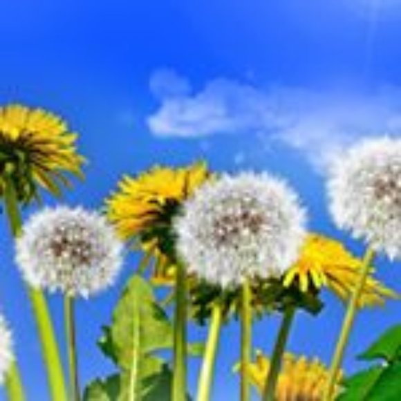 KXG-SWIM.COM - Picture 5 of 5